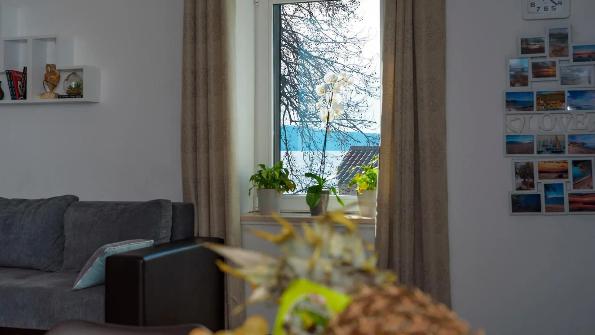 Apartments Magli location